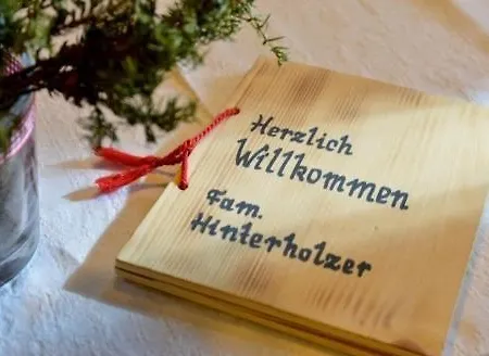 Hinterholzer